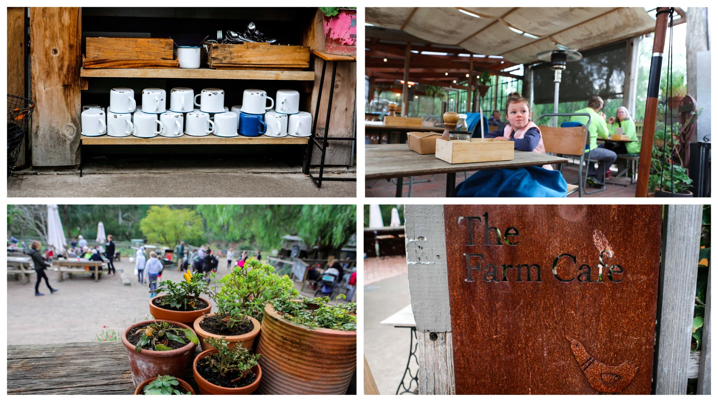 the farm cafe, abbotsford