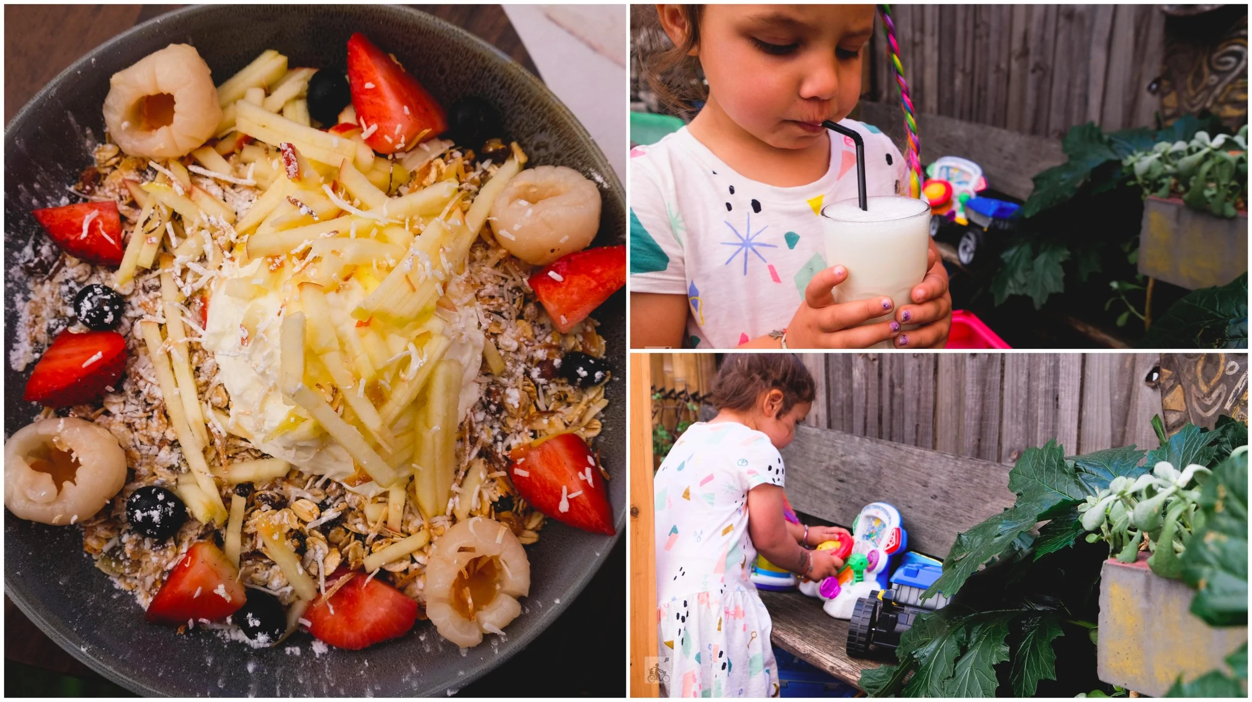 pearl oyster, preston