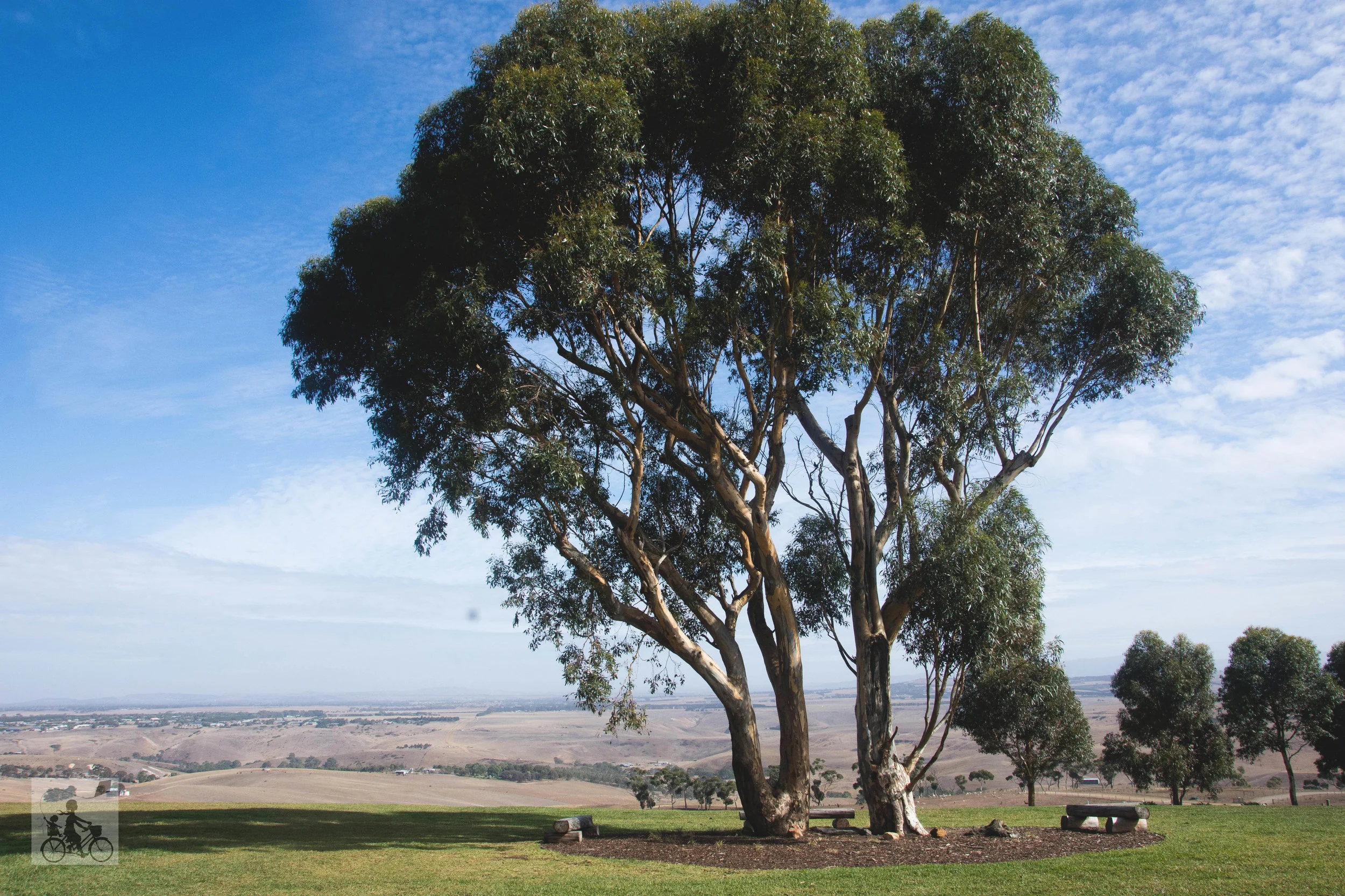marnong estate, mickelham - mamma knows north