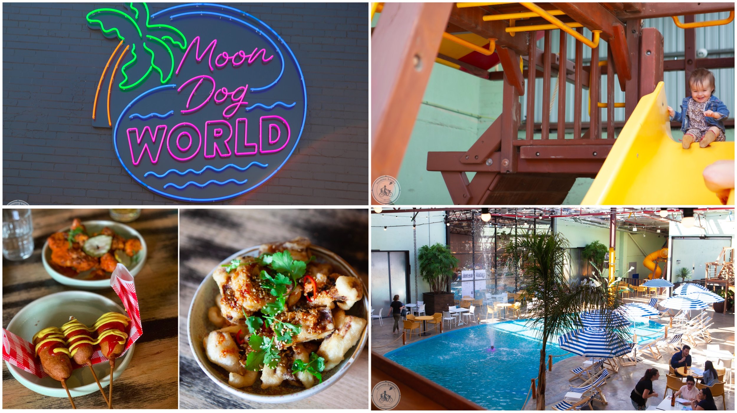 moon dog world, preston