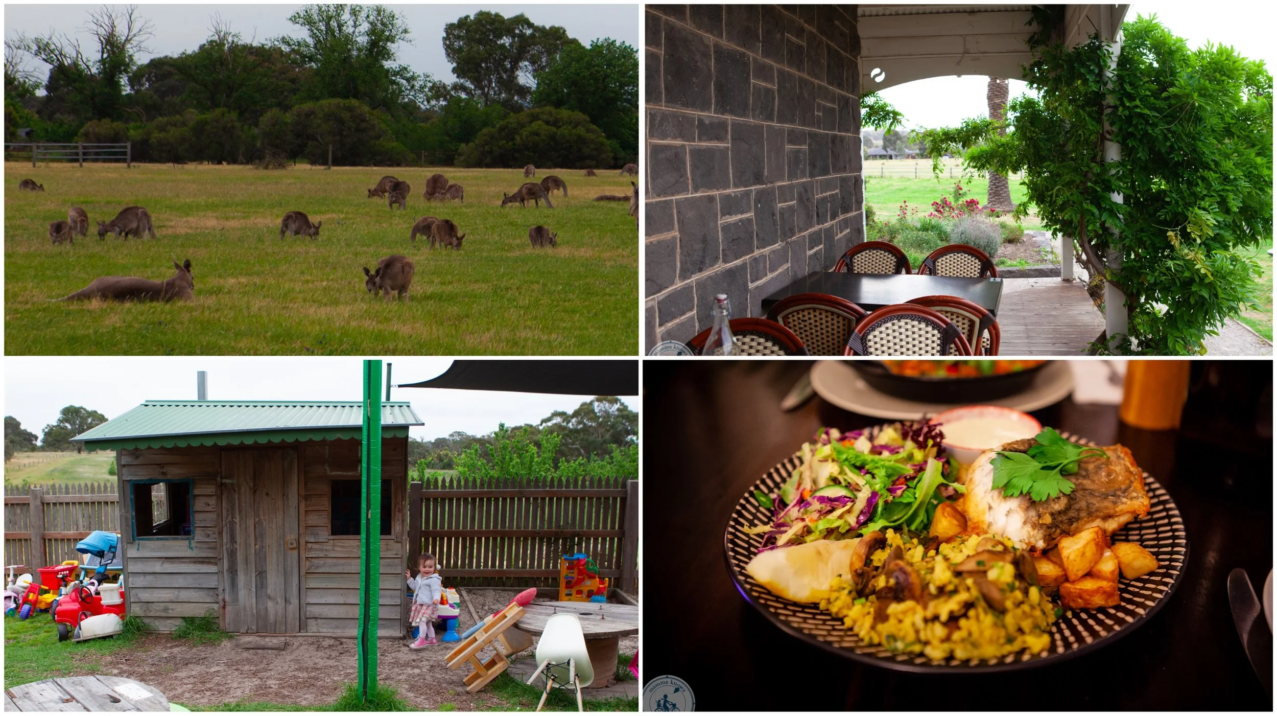 two beans and a farm (carome homestead), mernda
