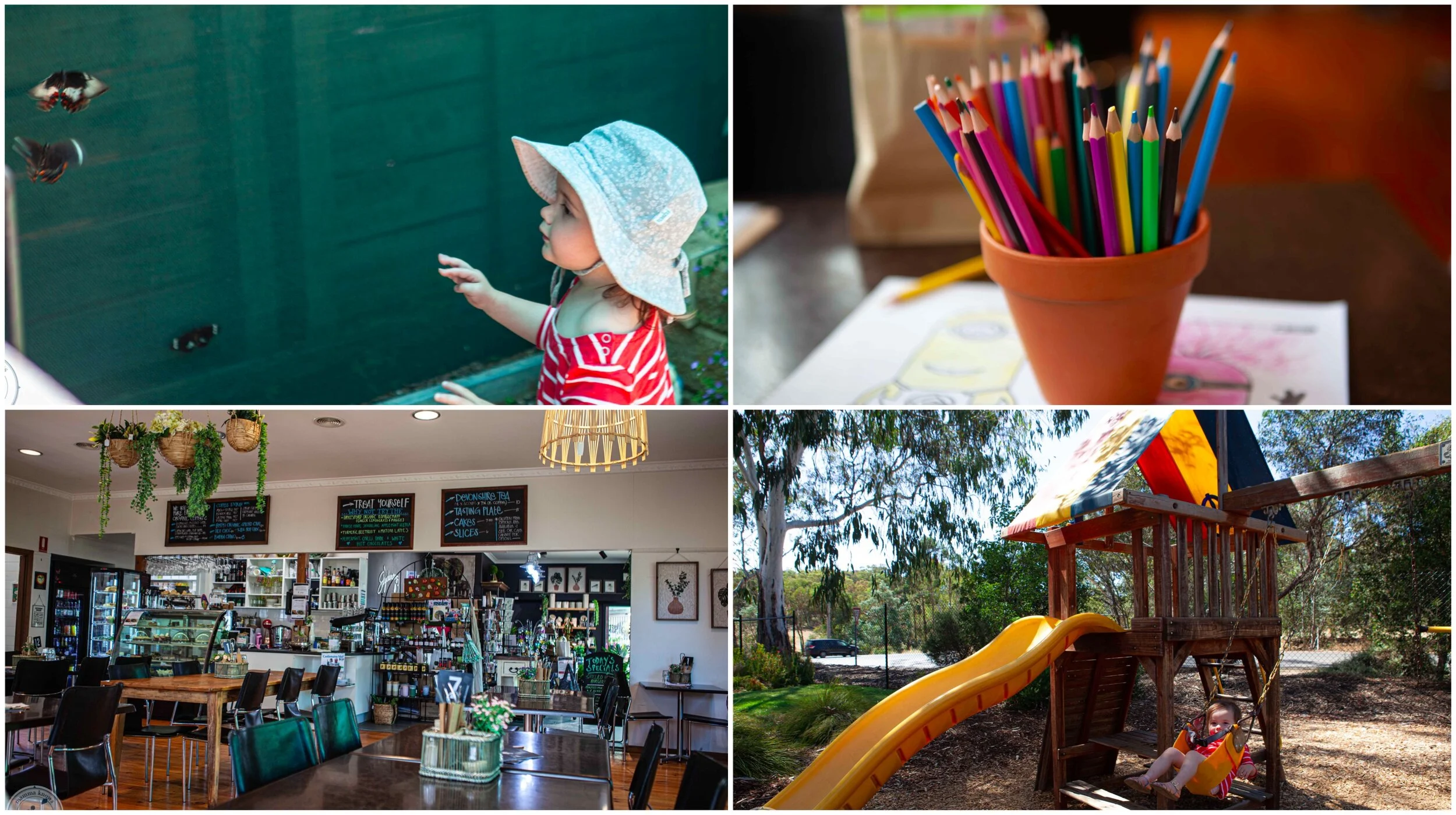 asq skydancers, harcourt