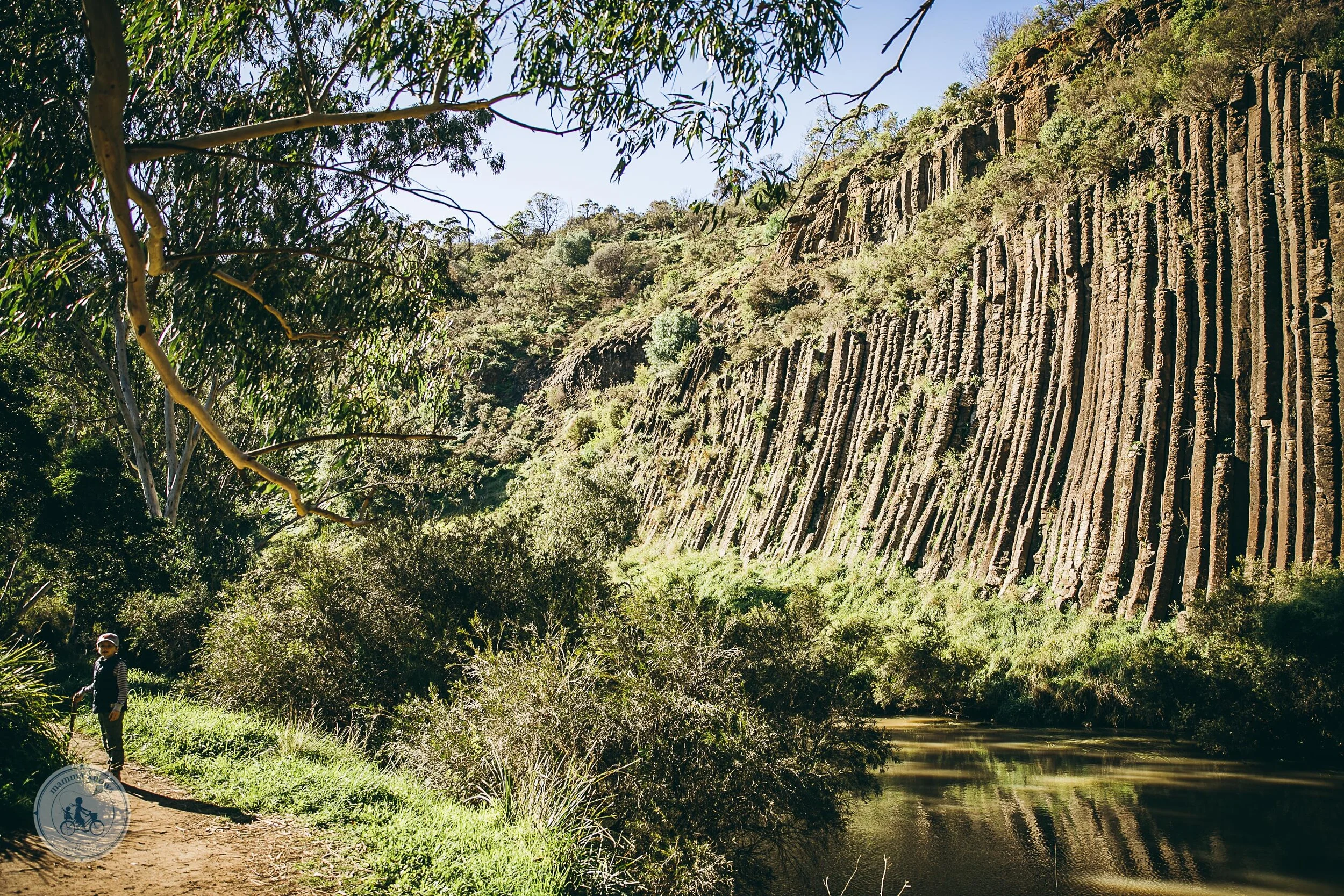 What Is Organ Pipes National Park? – NVDK