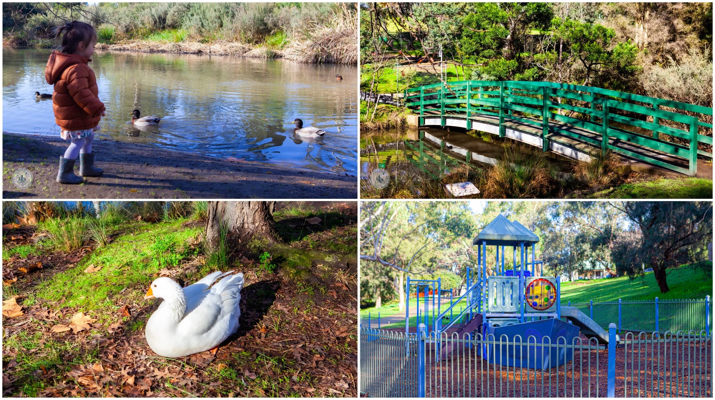 kalparrin gardens, greensborough