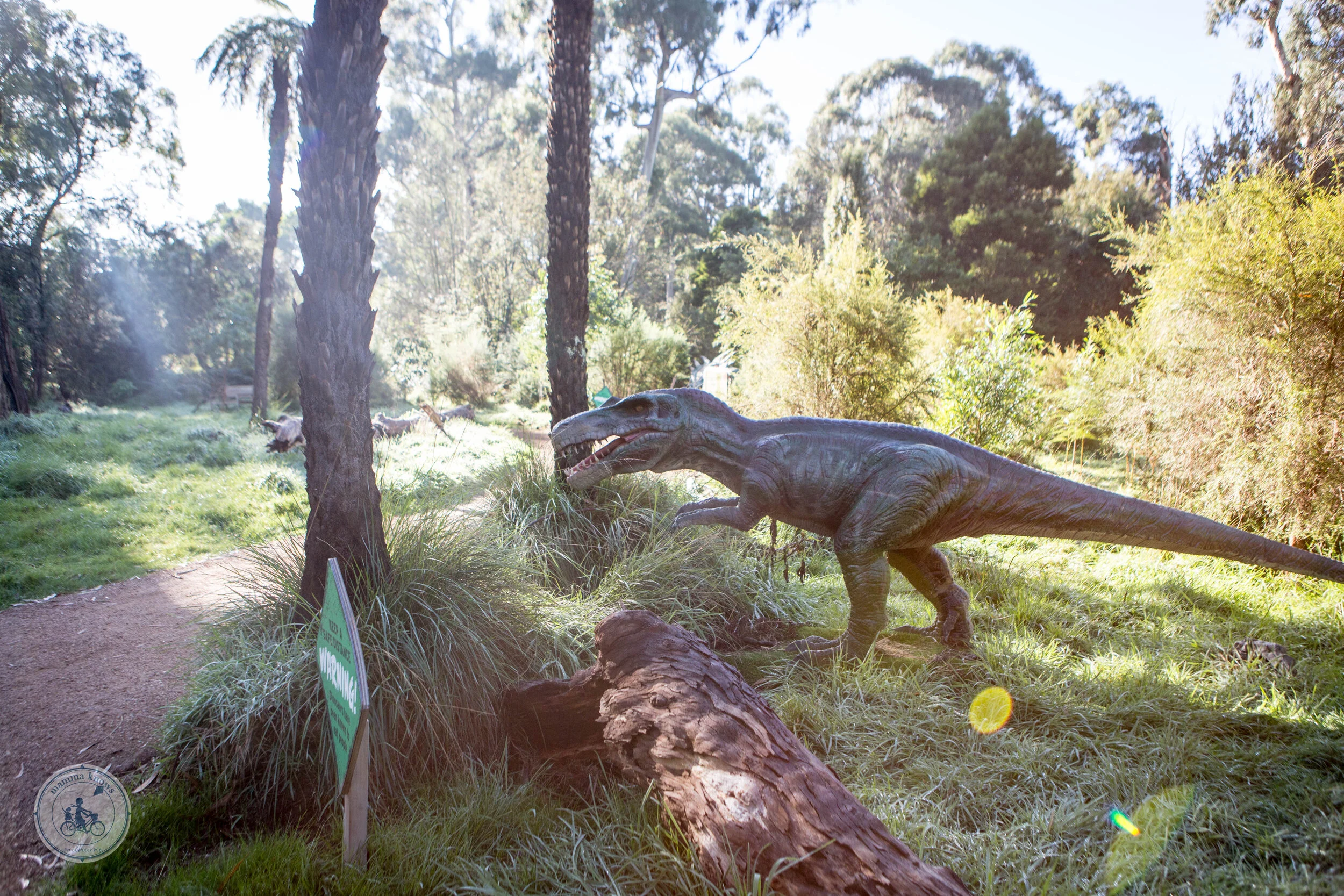 Lost Sanctuary - Mamma Knows East (39 of 54) (1).jpg