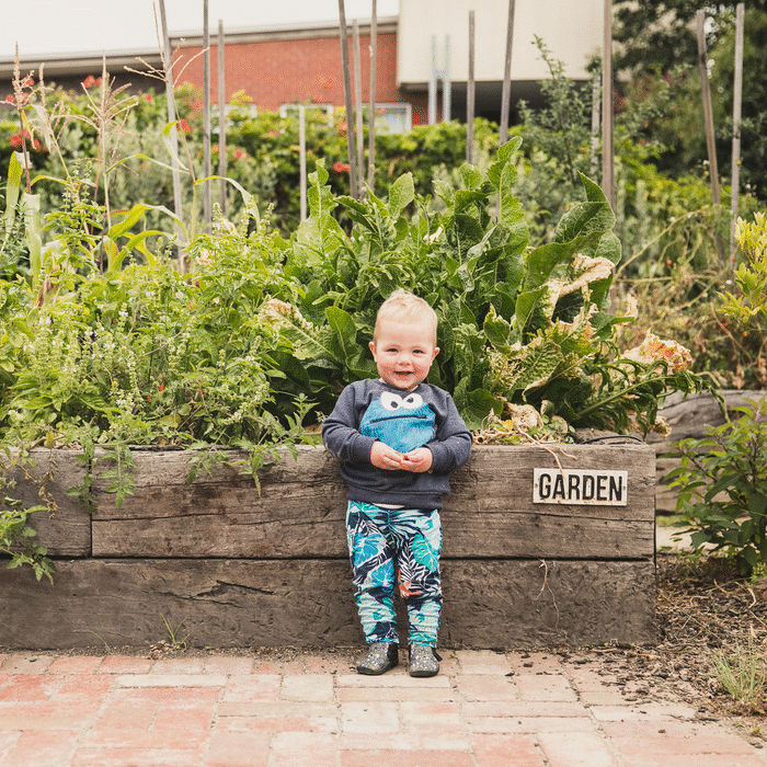 Mamma advertise banner.gif