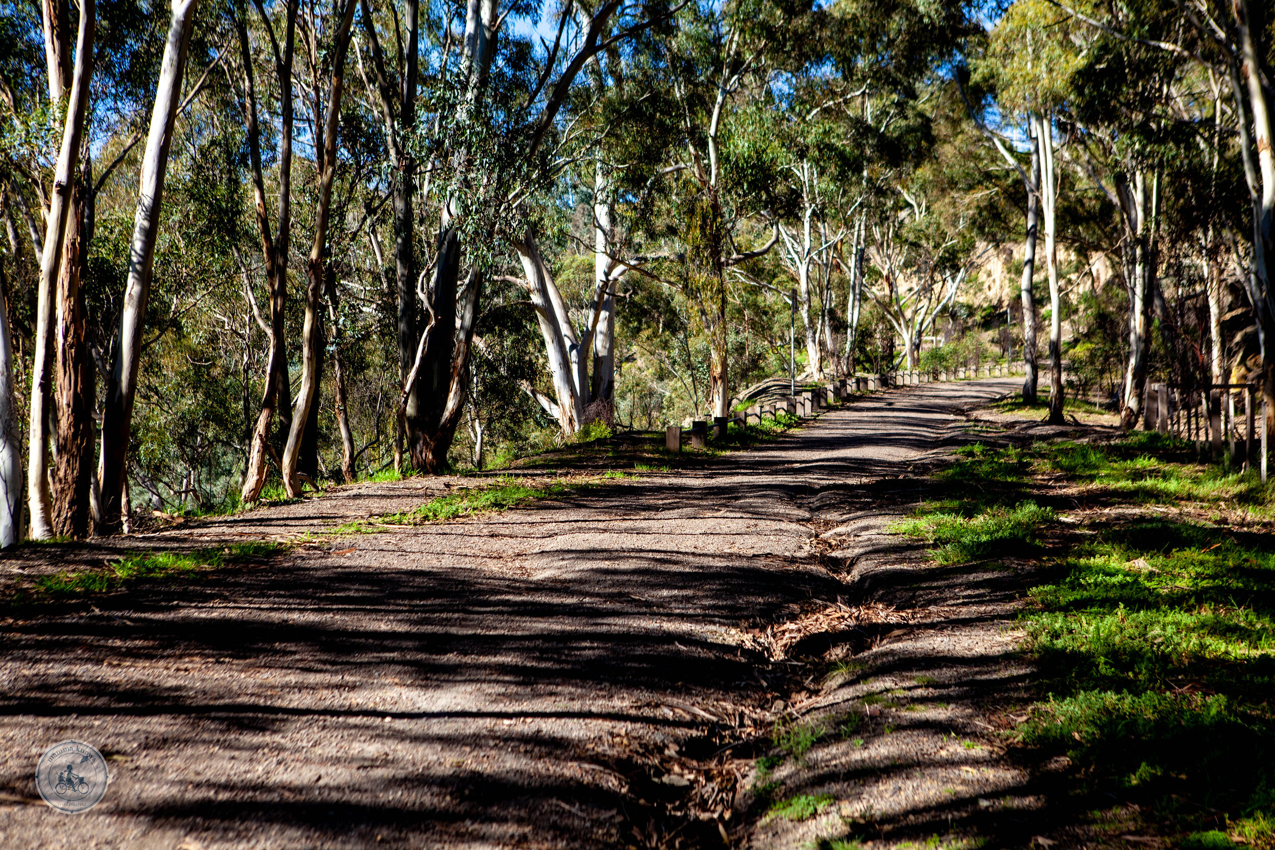 blue lake, plenty parklands, plenty — mamma knows north