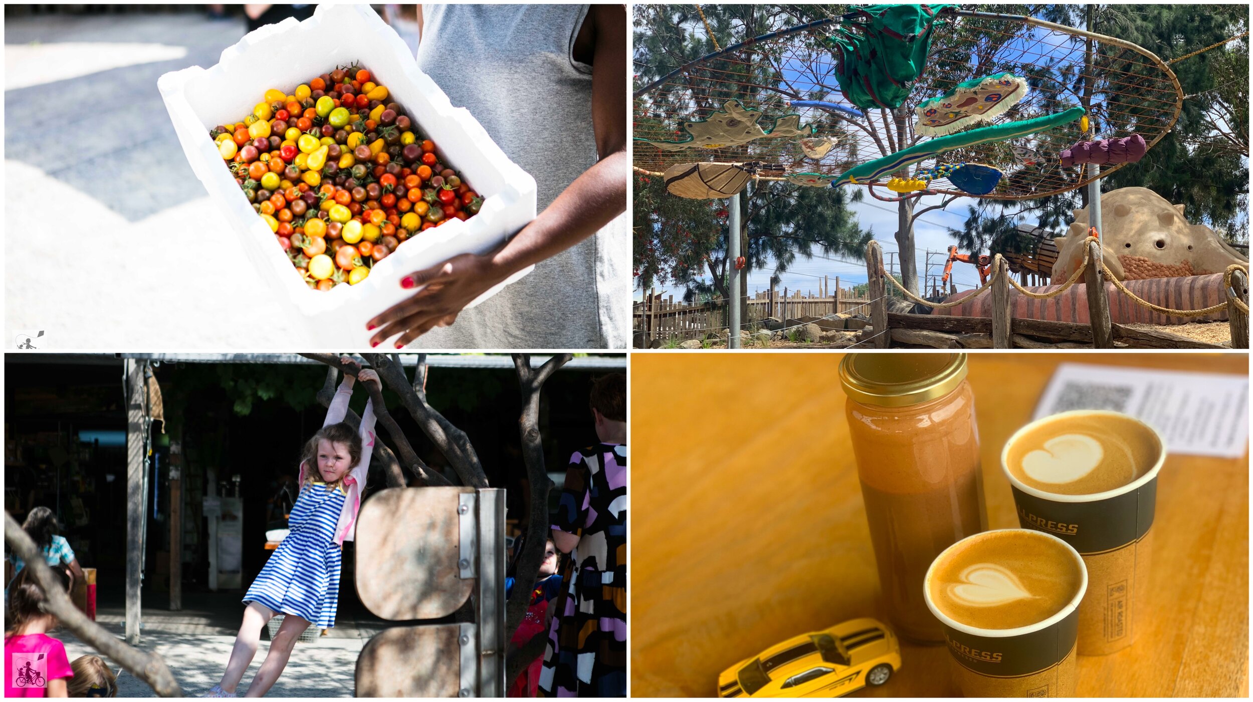 ceres community environment park, brunswick east