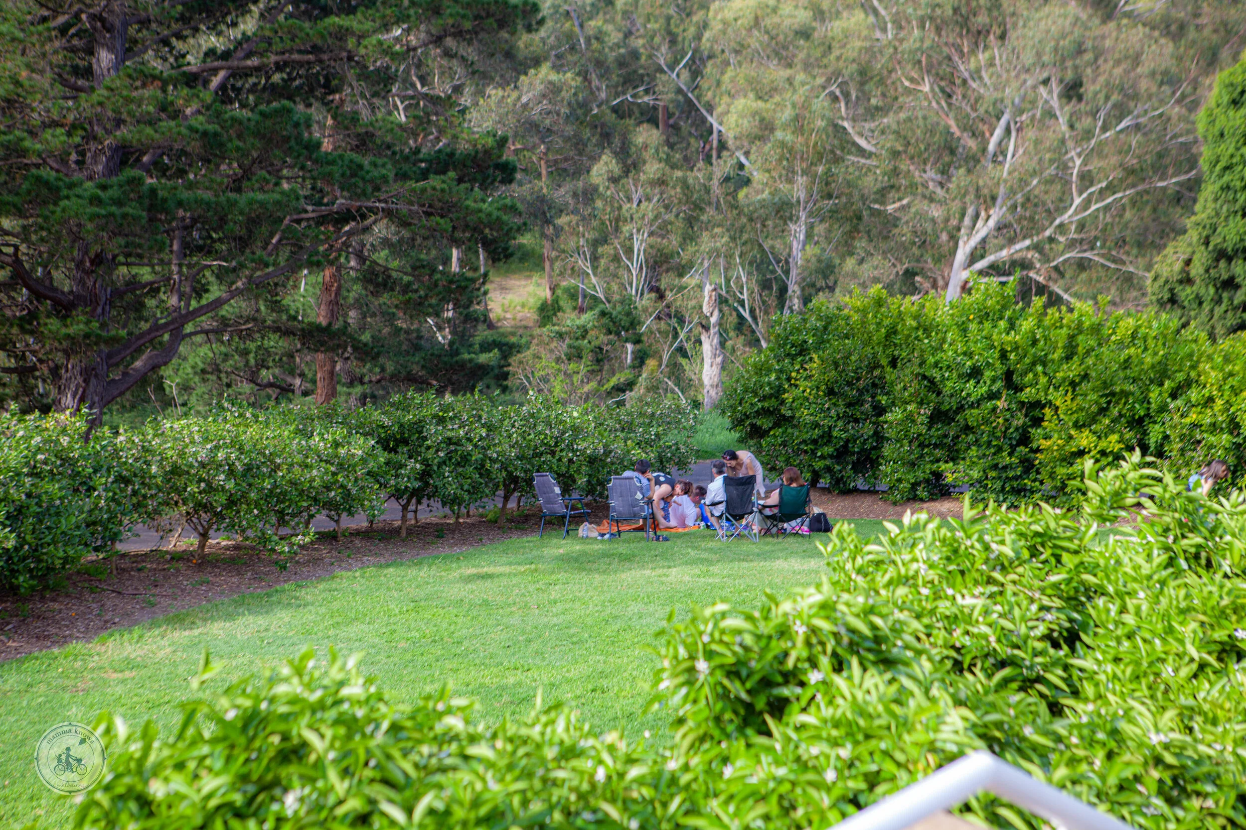 farm vigano south morang-10.jpg