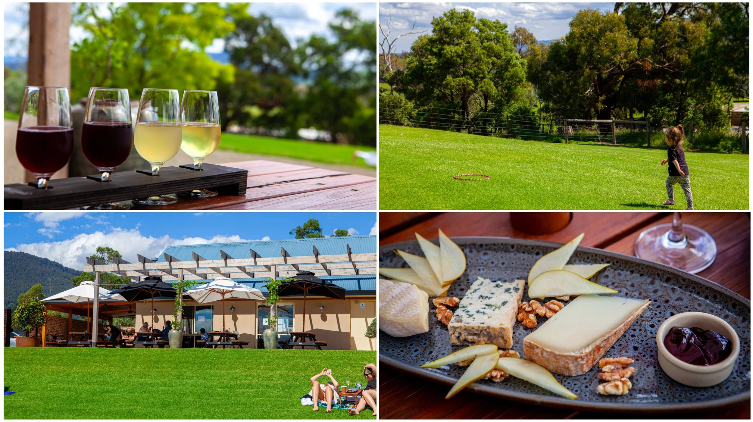 blueberry farm winery, badger creek