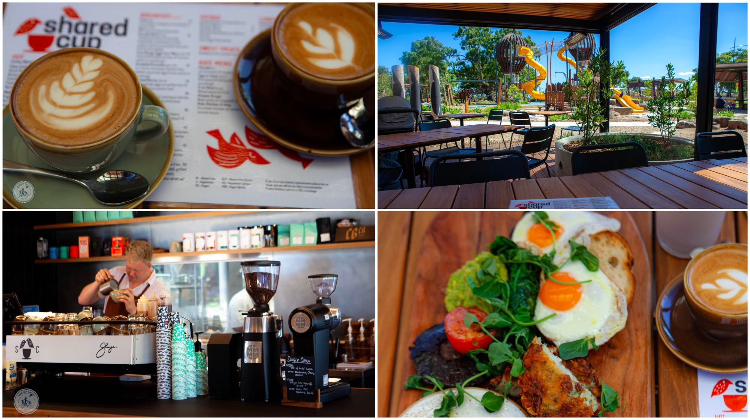 shared cup, donnybrook