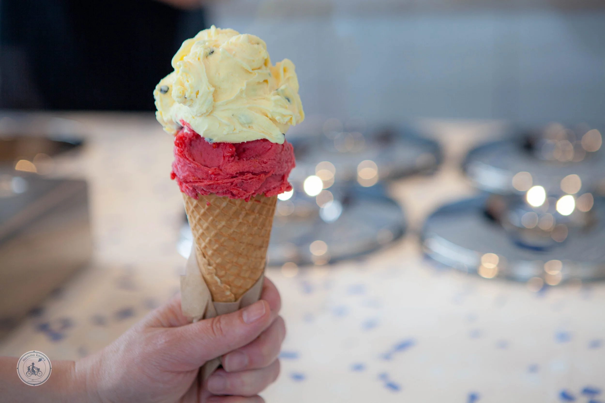 gelato papa fairfield-12.jpg