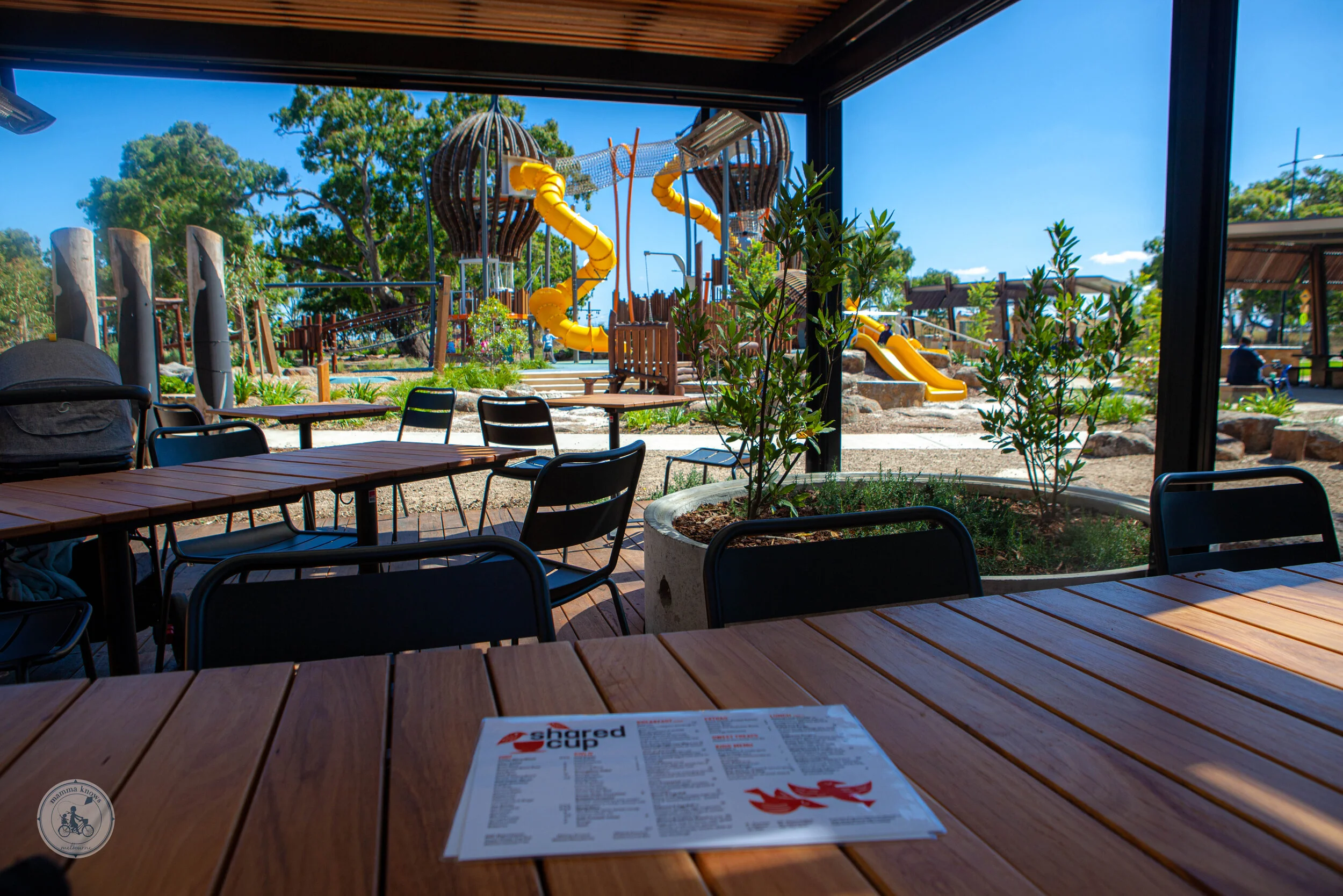 shared cup donnybrook-2.jpg