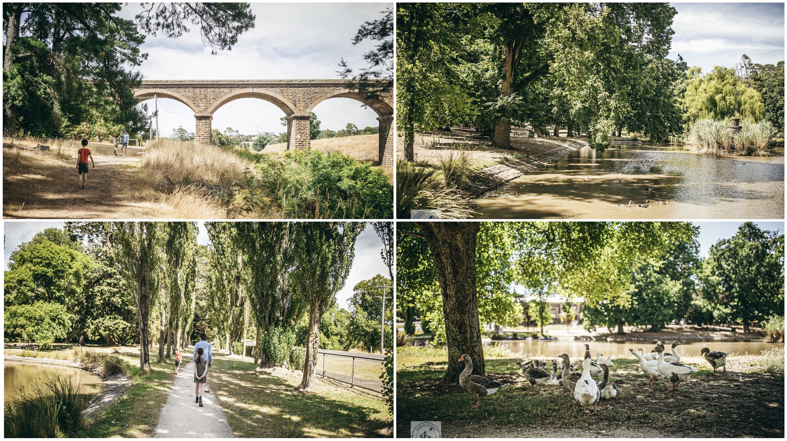 malmsbury botanical gardens, malmsbury