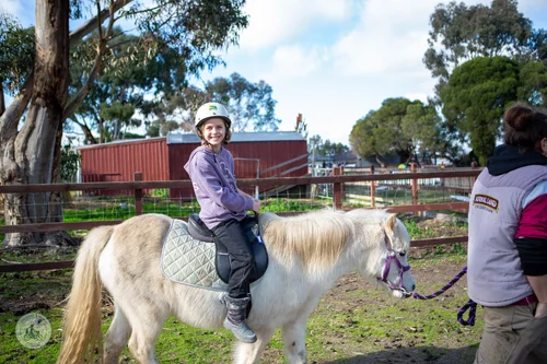 animal land children's farm