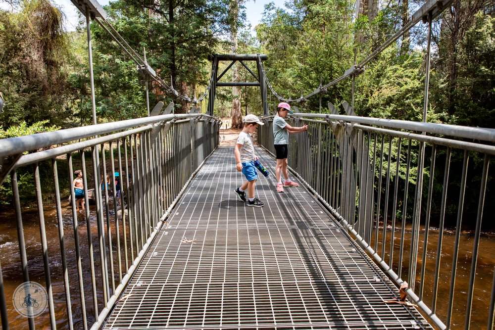 Copyright Mamma Knows North - murrindindi scenic reserve and wilhelmina falls, murrundundi