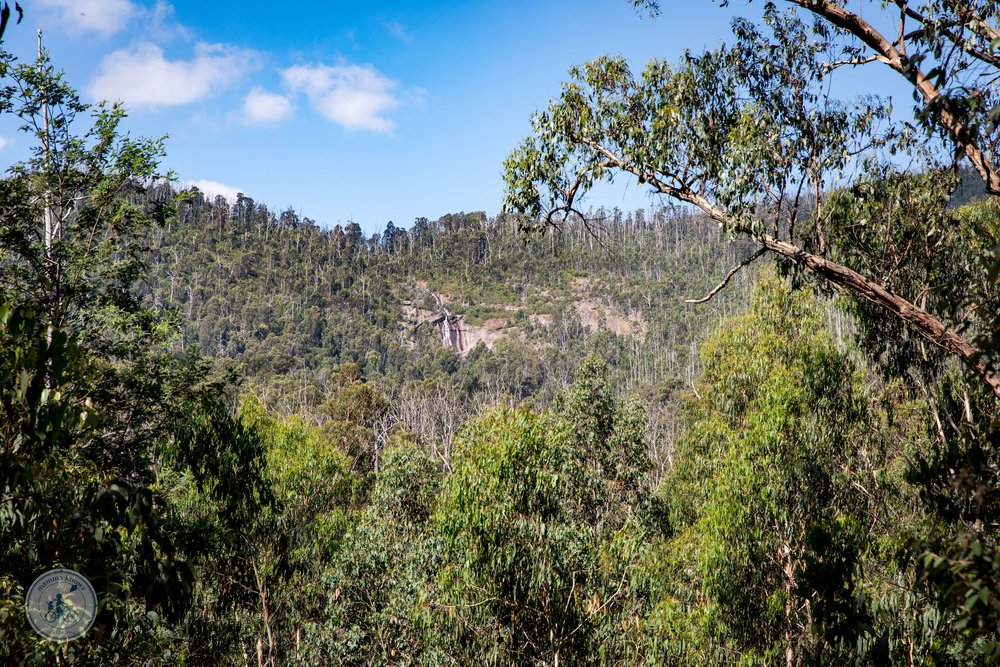 Copyright Mamma Knows North - murrindindi scenic reserve and wilhelmina falls, murrundundi