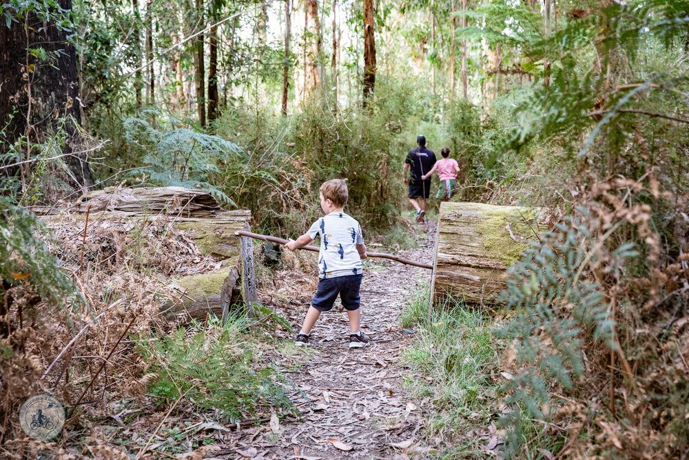 Copyright Mamma Knows Melbourne - Jehoshaphat Picnic Area Kinglake-8.jpg