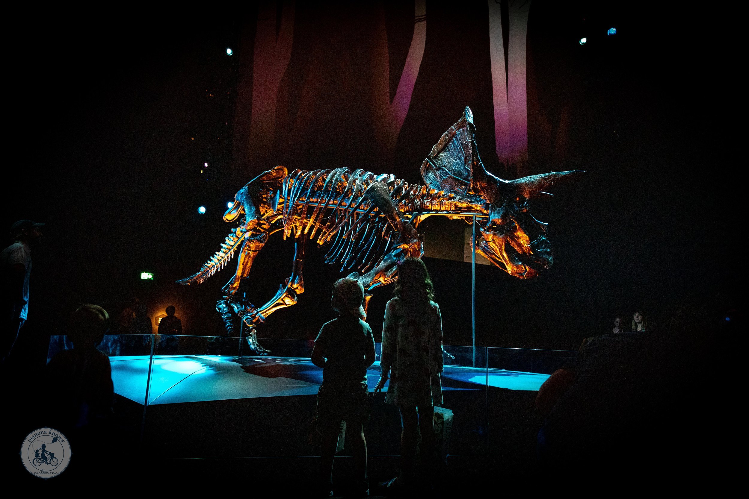 Triceratops: Fate of the Dinosaurs @ Melbourne Museum, Carlton