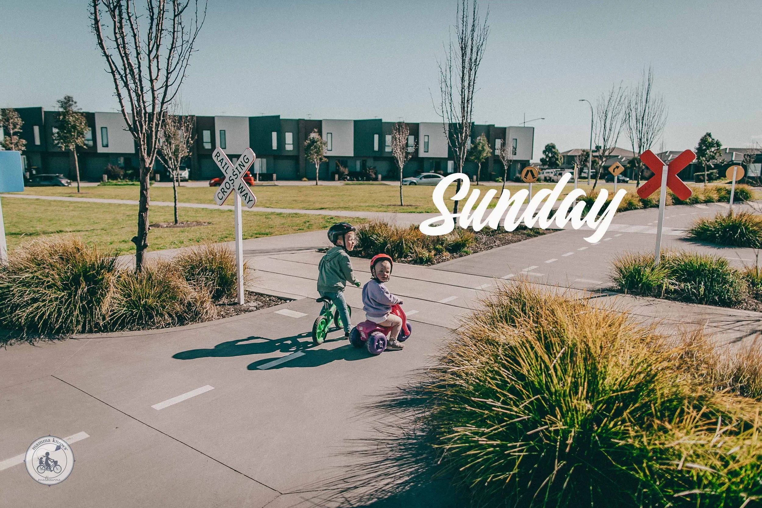 sunday nov 30 NORTH.jpg