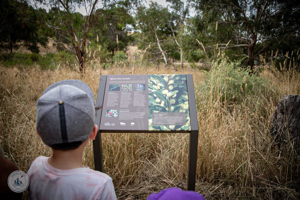 werribee gorge, bacchus marsh - copyright 2023 mamma knows melbourne-3.jpg