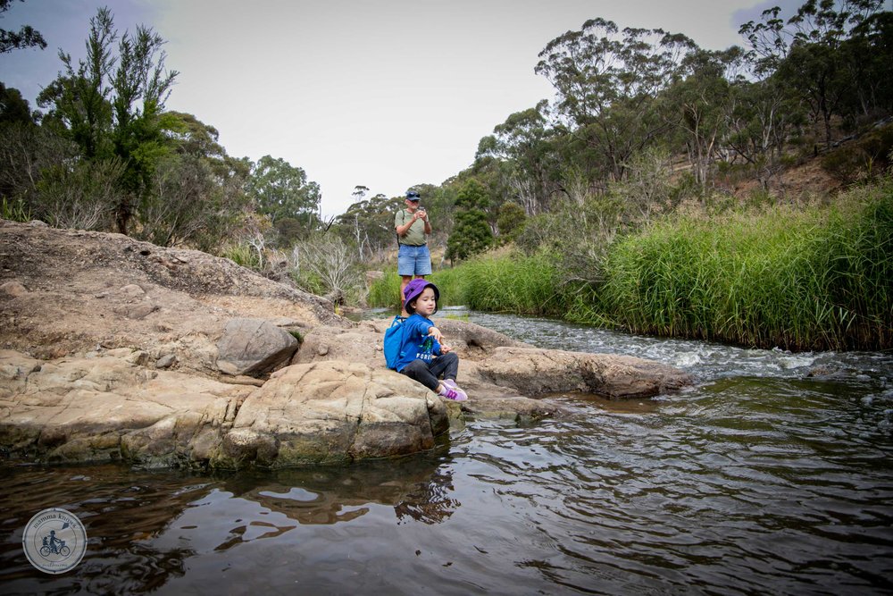 werribee gorge, bacchus marsh - copyright 2023 mamma knows melbourne-23.jpg