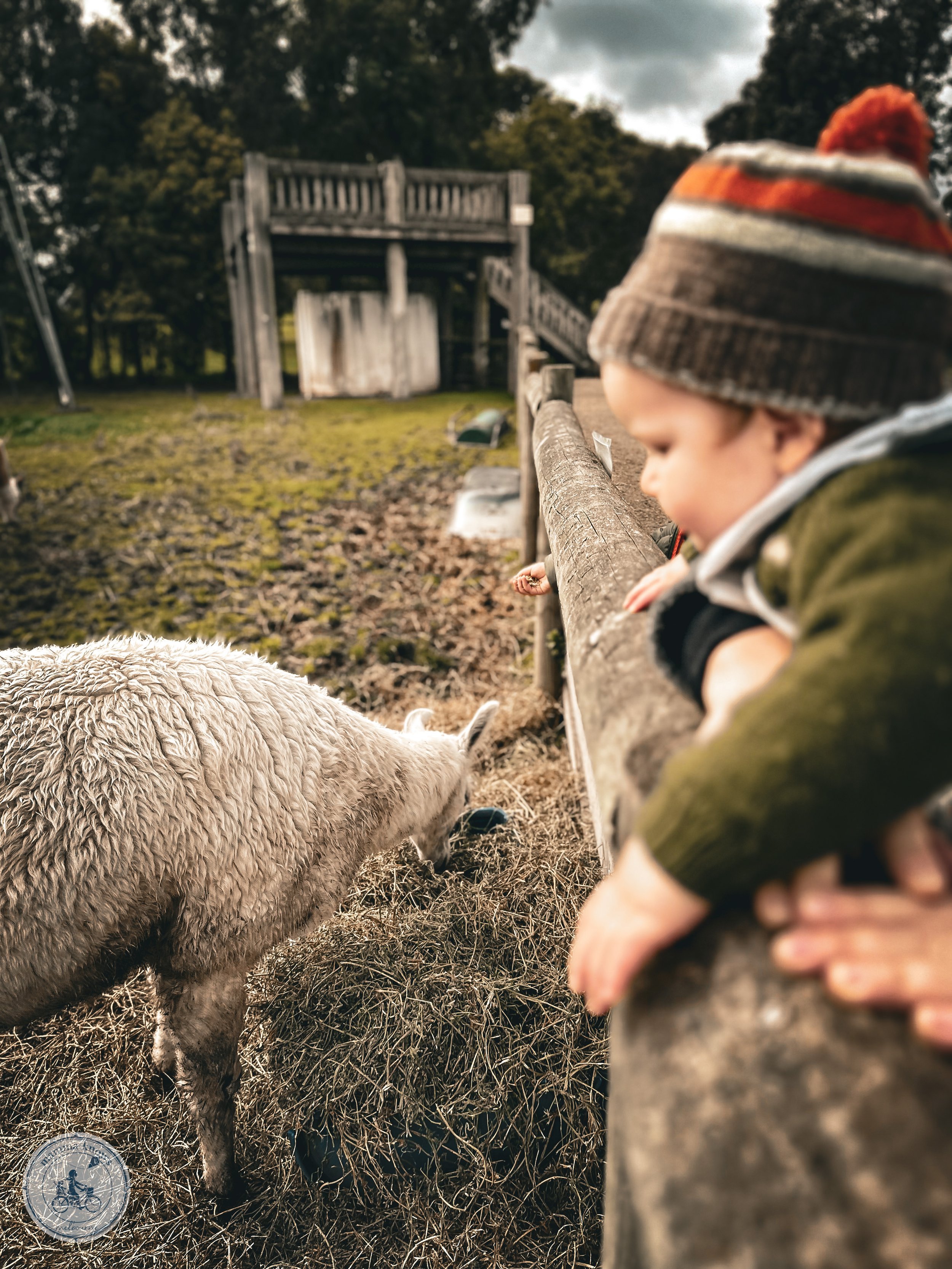 bundoora park farm, bundoora - mamma knows melbourne - copyright