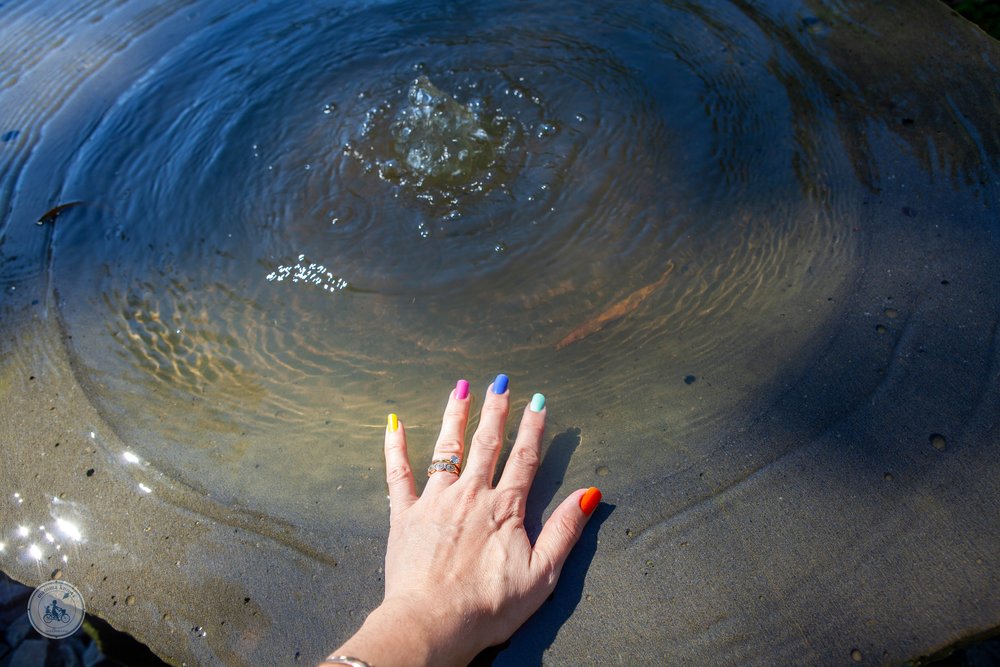 heide healing gardens, bulleen - mamma knows melbourne - copyright