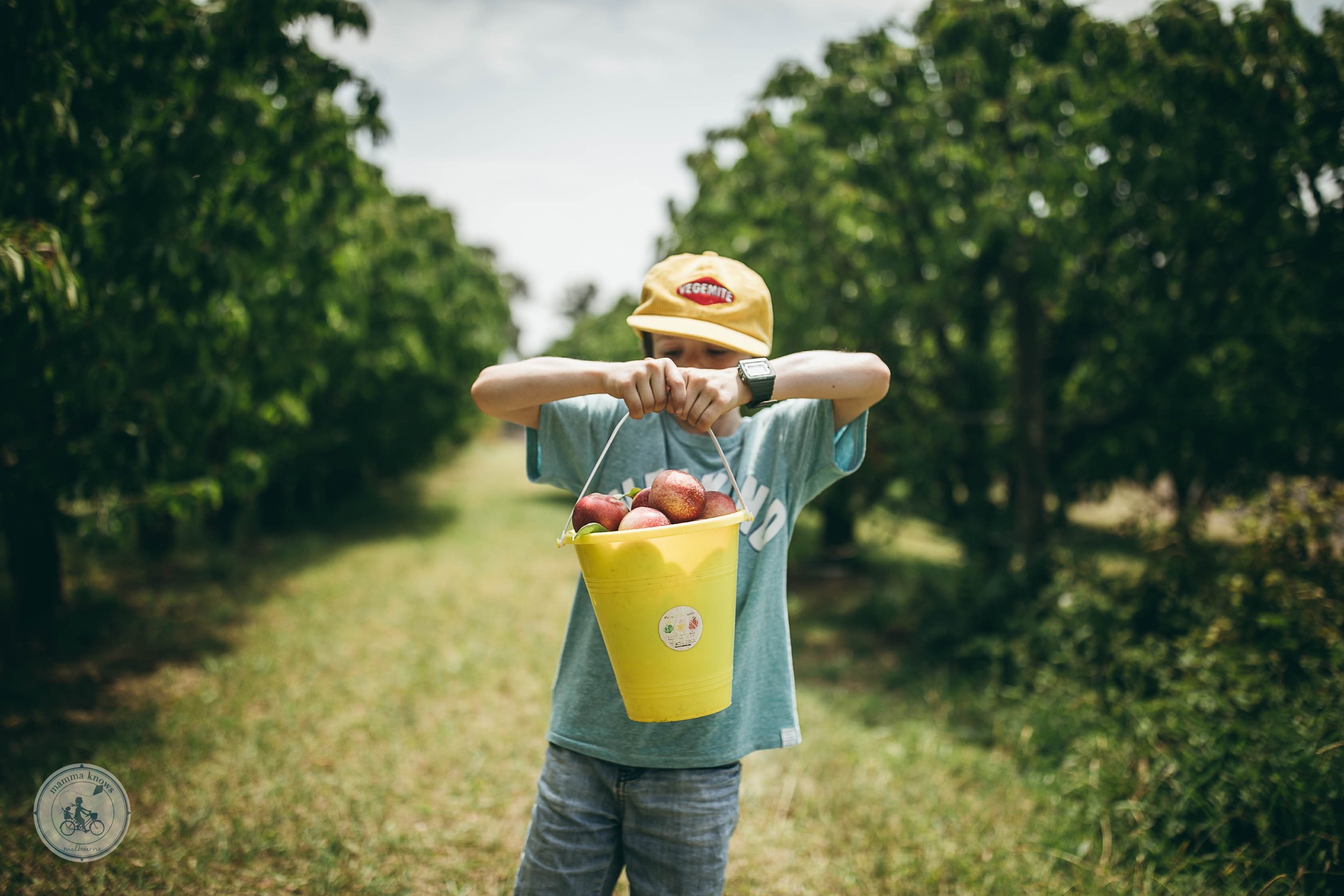 Paynes Orchard