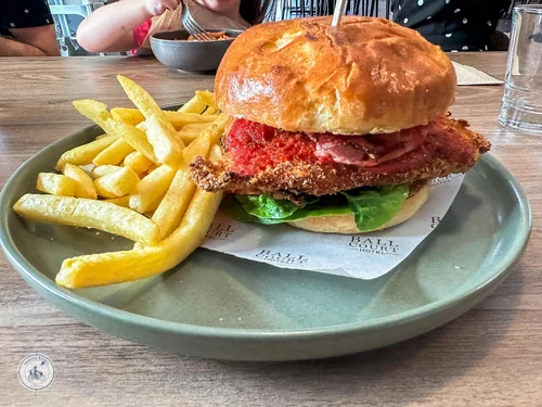 the ball court hotel