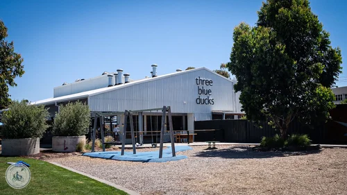 three blue ducks (urbnsurf)