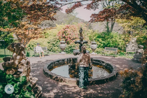 forest glade gardens