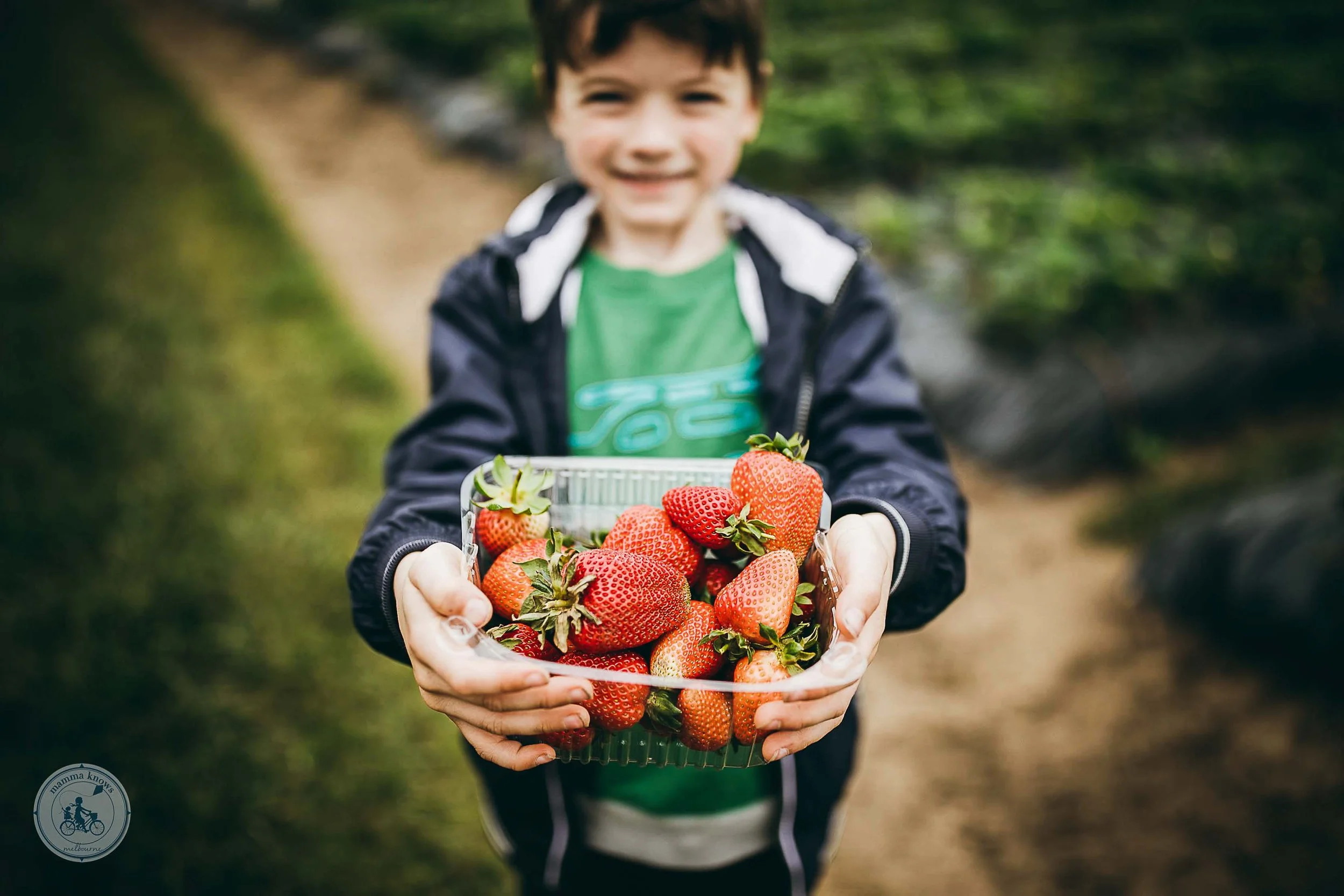 Naturipe Fruit Picking, Bacchus Marsh 