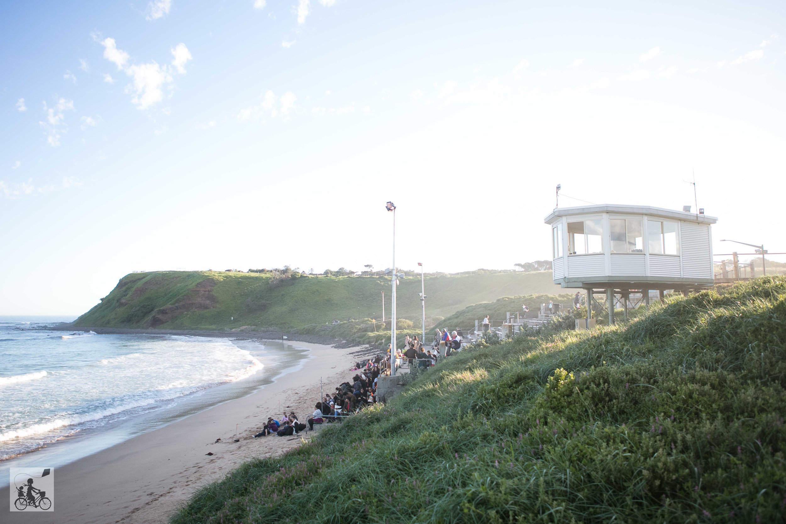 Phillip Island Must Do's