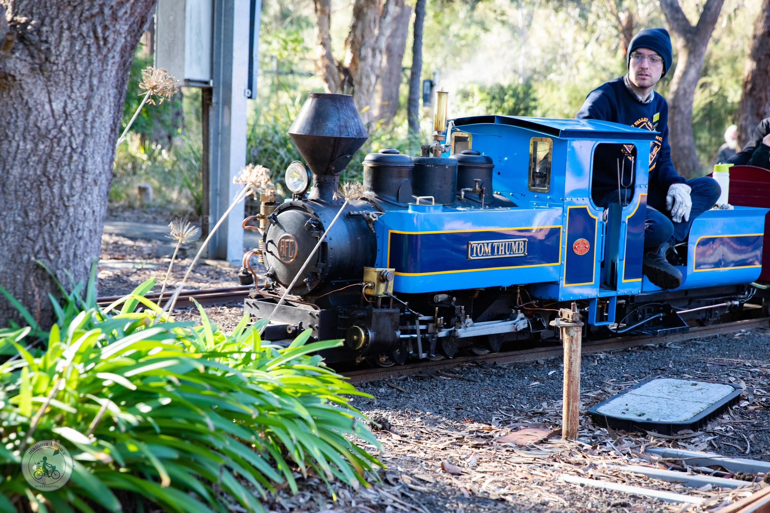 Diamond Valley Railway
