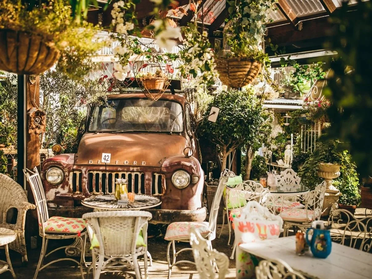 Old Man Drew, Ascot Vale