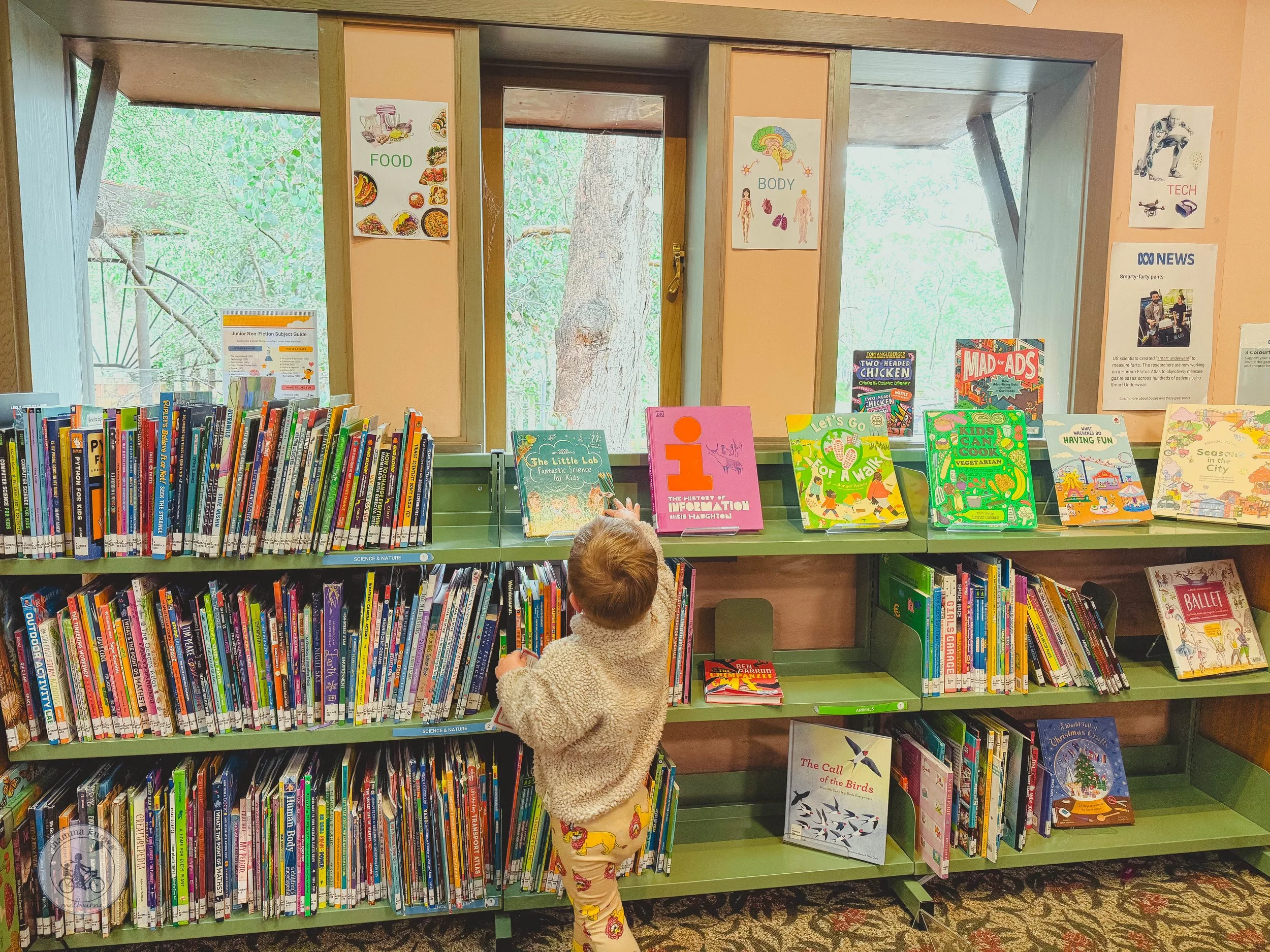 Eltham Library, Copyright Mamma Knows North