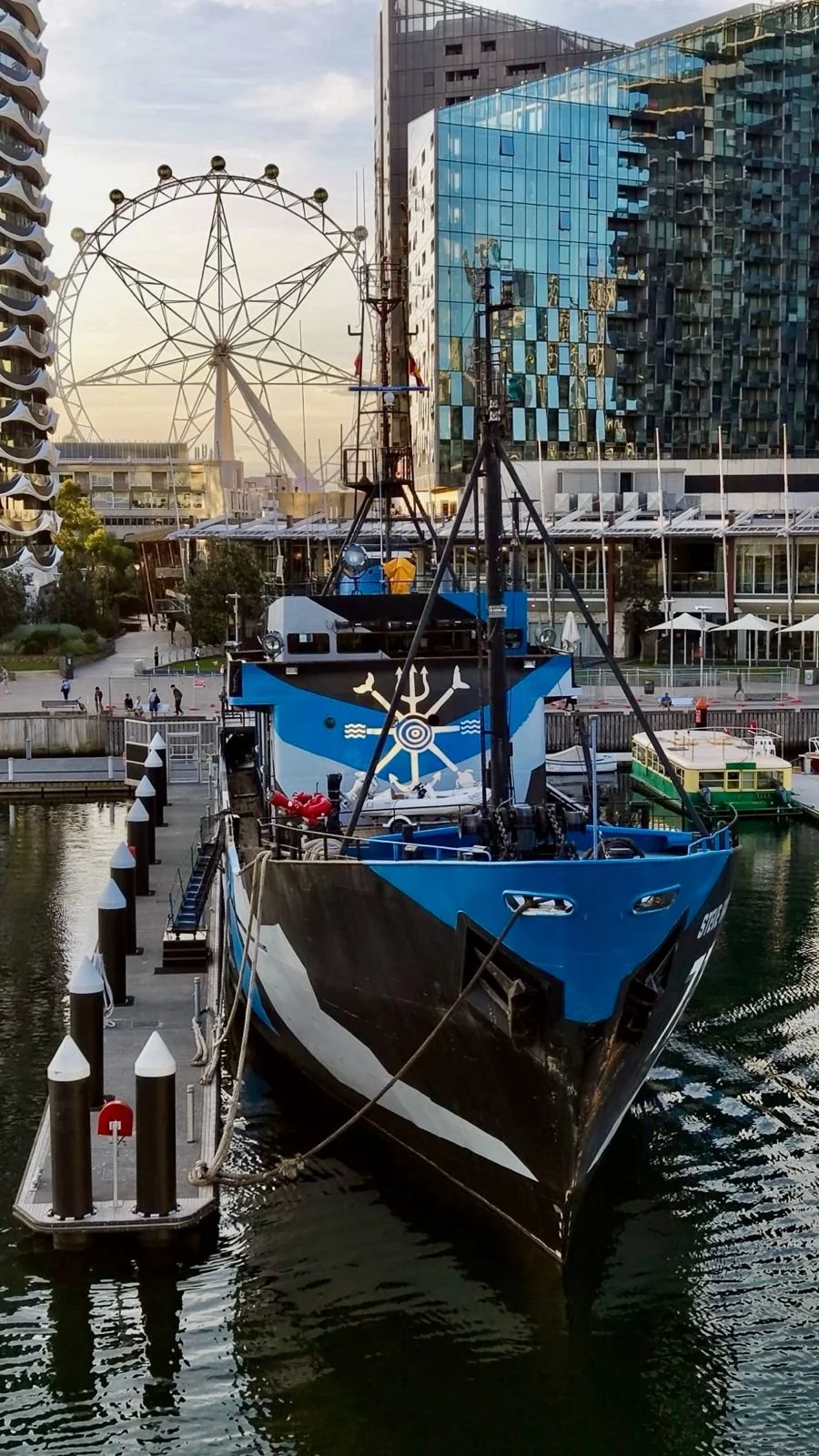 School Holidays on MV Steve Irwin