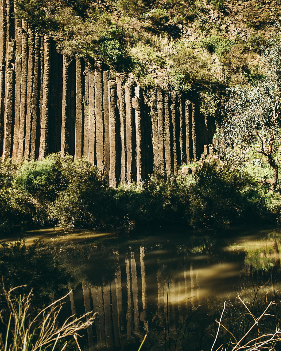 Organ Pipes, Keilor North