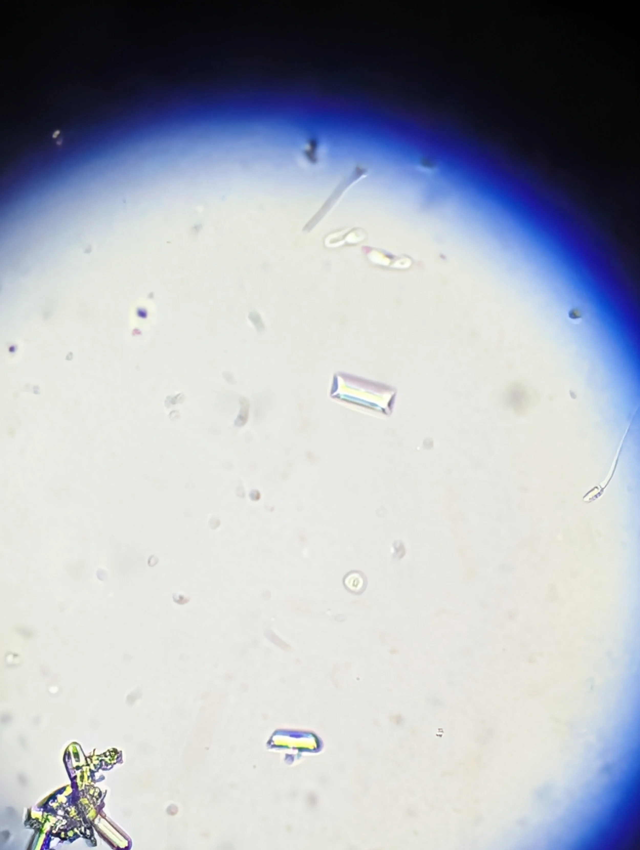 PXL_20260106_012241162.jpg