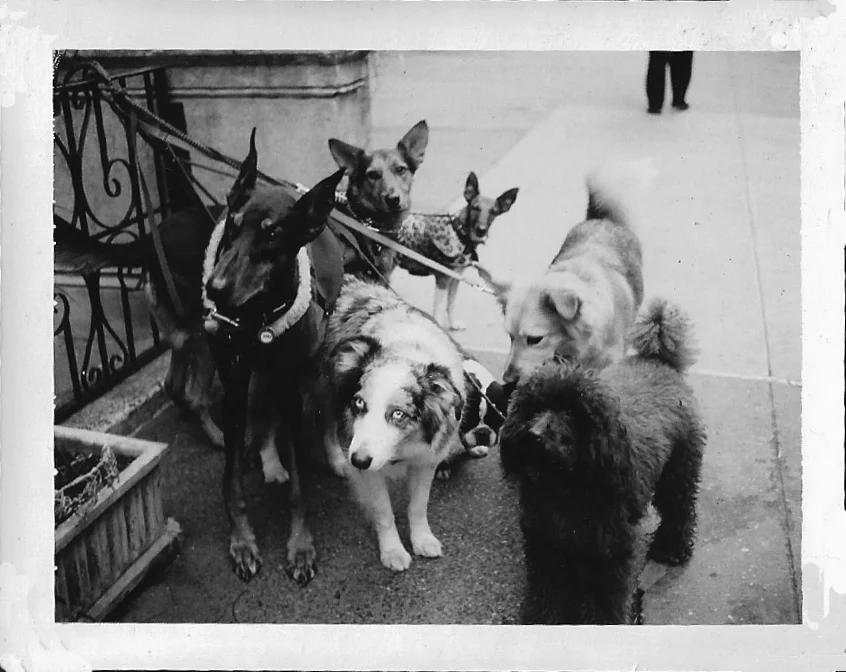 Scan copy 36.jpg