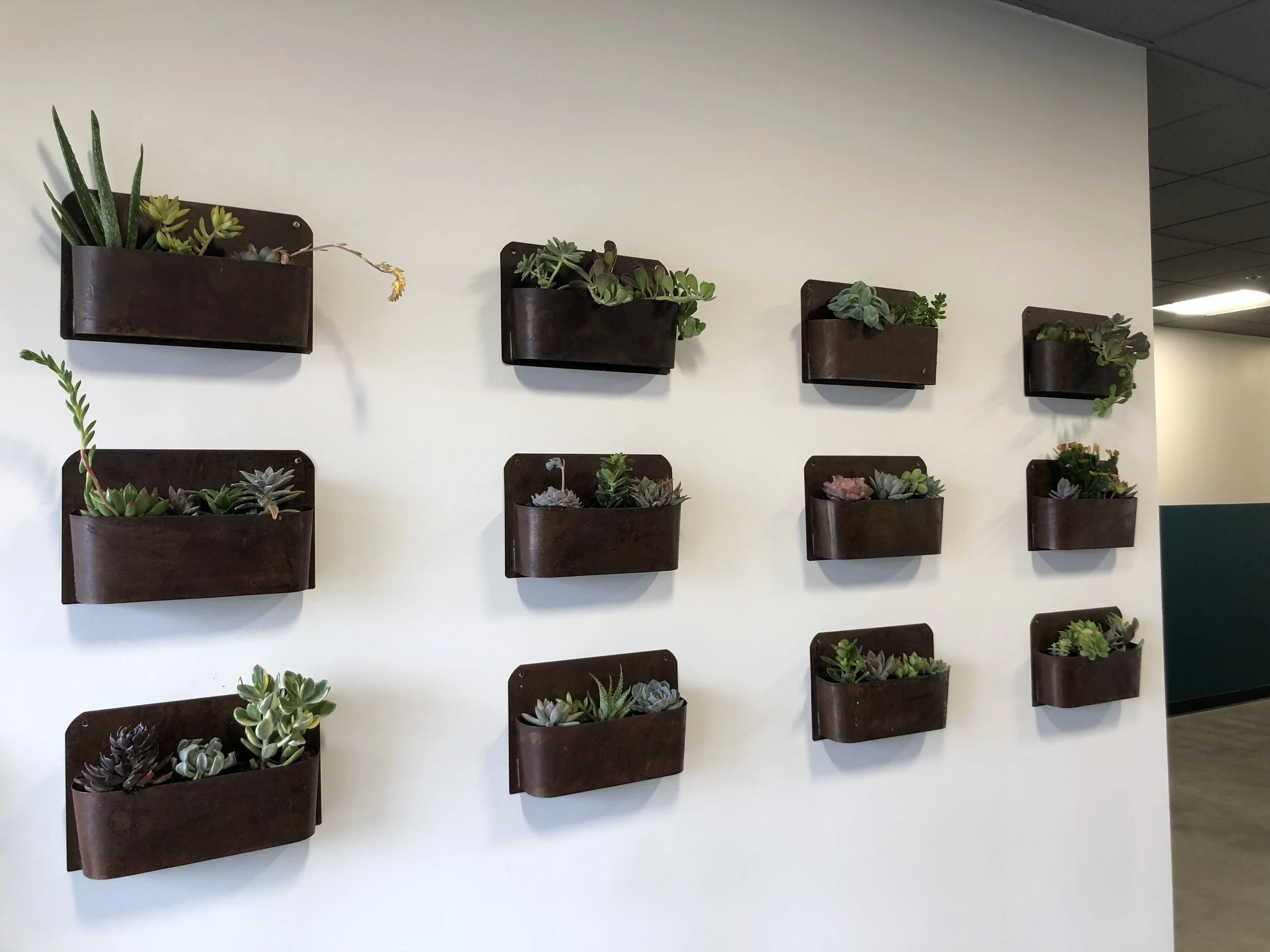 Succulent Wall.jpeg