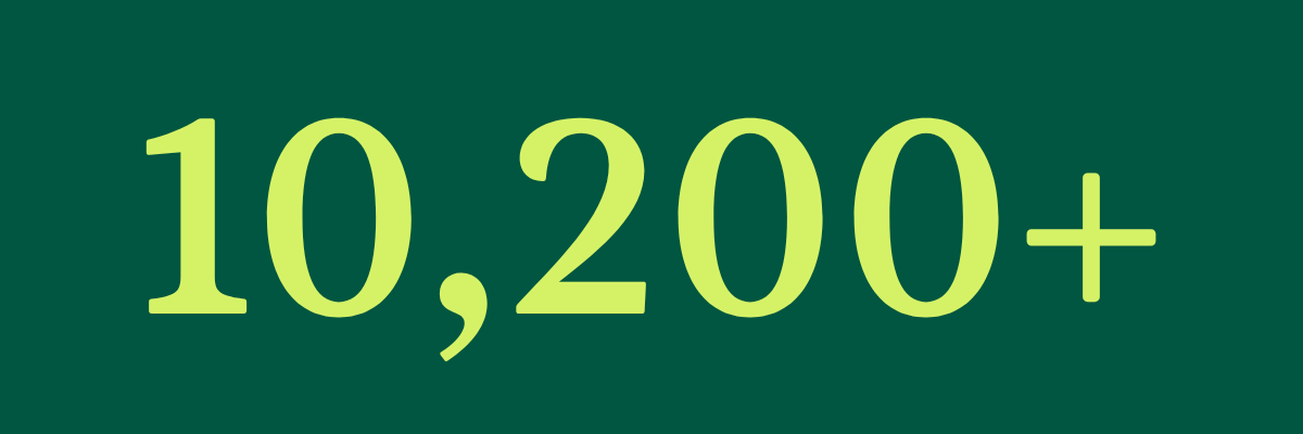 10,200+ Packages — The Bridge