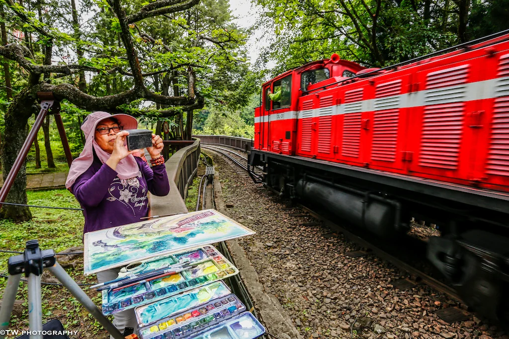Live Painter Recording the Moment at Alishan National Park