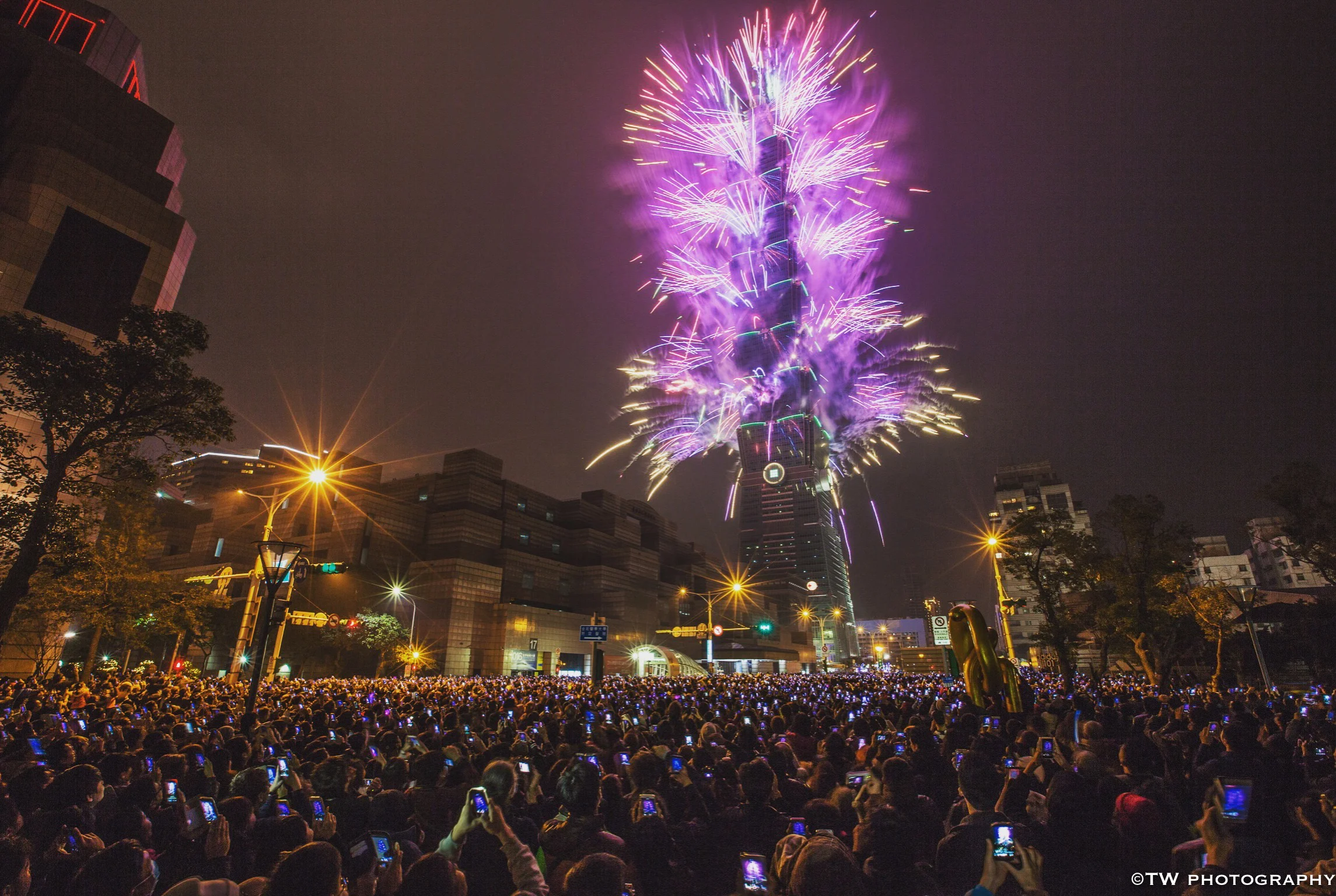 2016 NY FIrework at Taipei 101- 2016 National Geographic Photo Contest 1st Place (Asia Region)