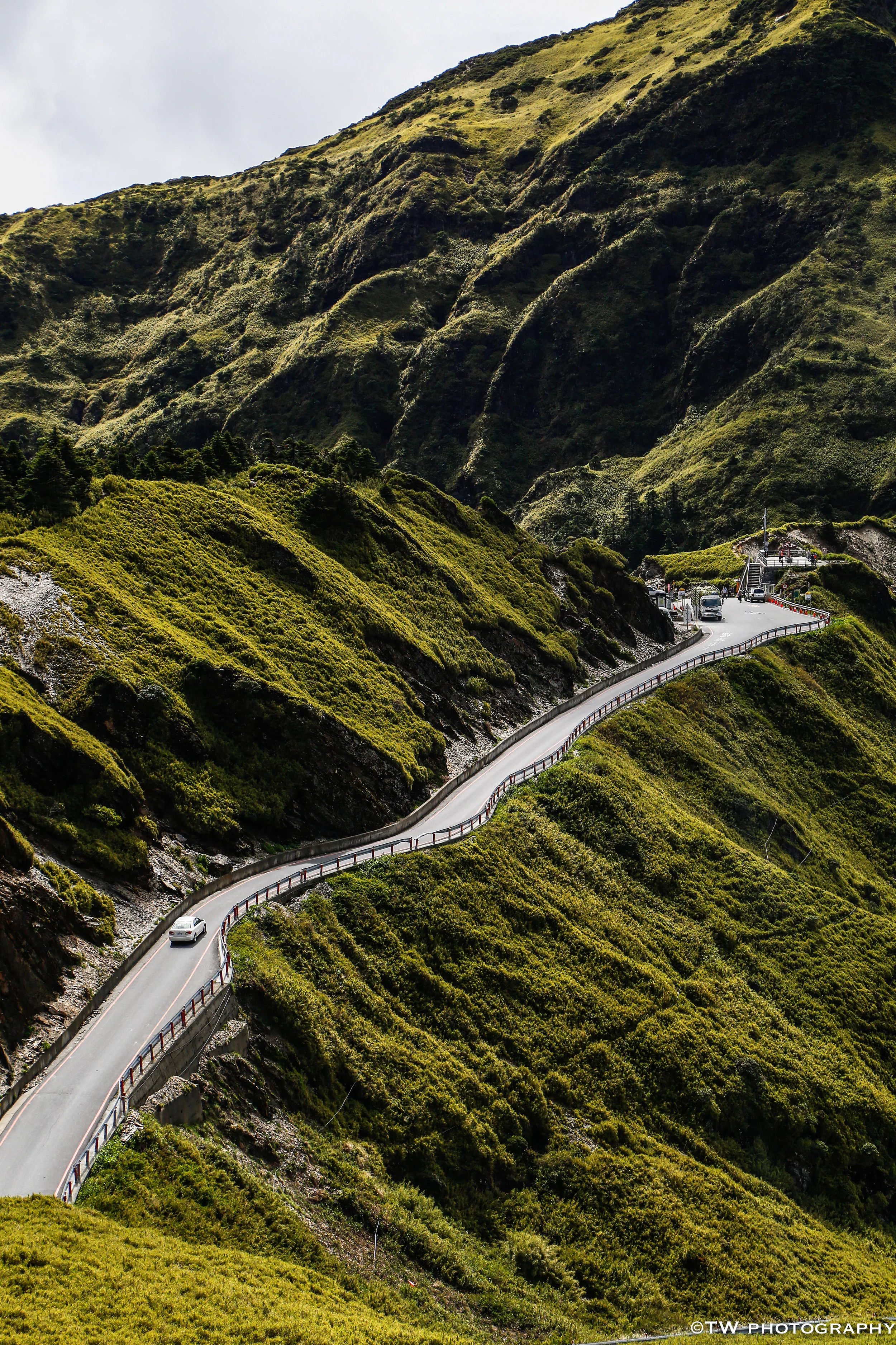Summer Greens on HeHuanShan in Taiwan