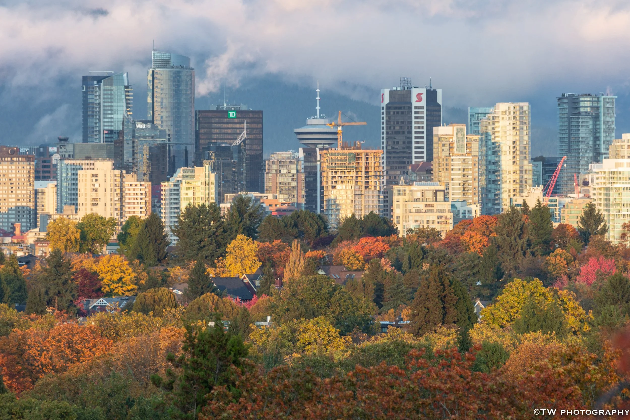 Downtown Vancouver Carpeted with Fall Colors