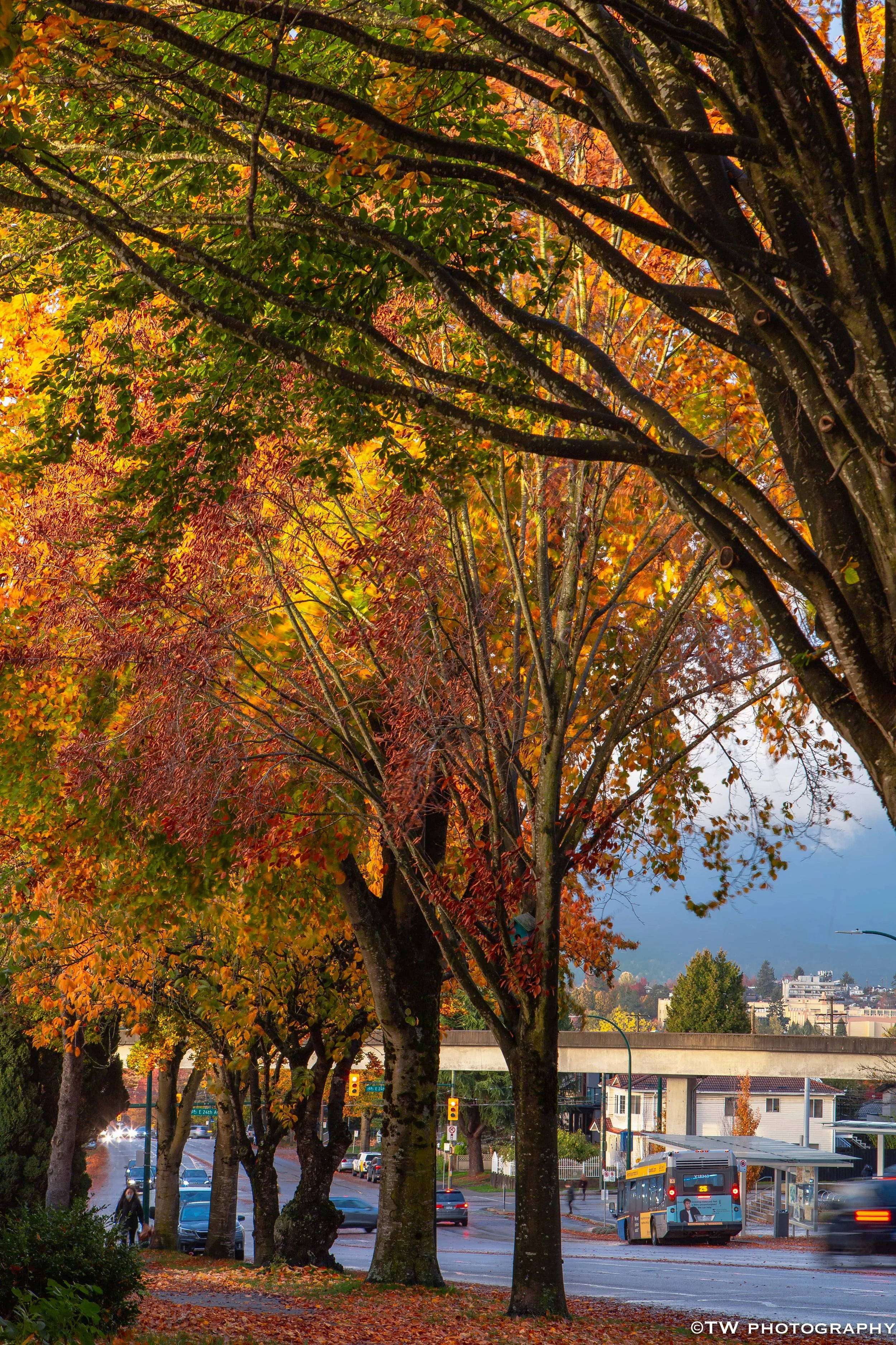 Fall Scenery at Nanaimo Station, Vancouver BC