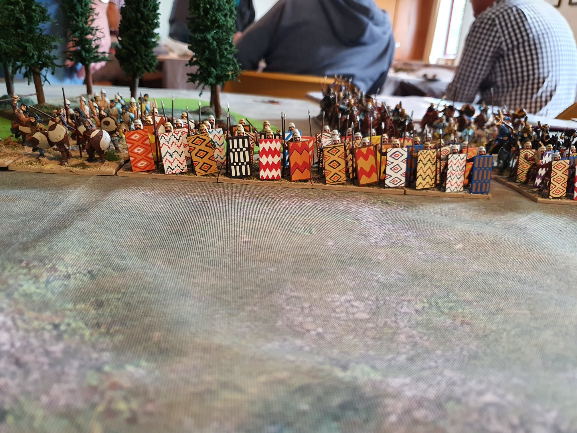  DBMM Persian immortals braced for a Greek charge 