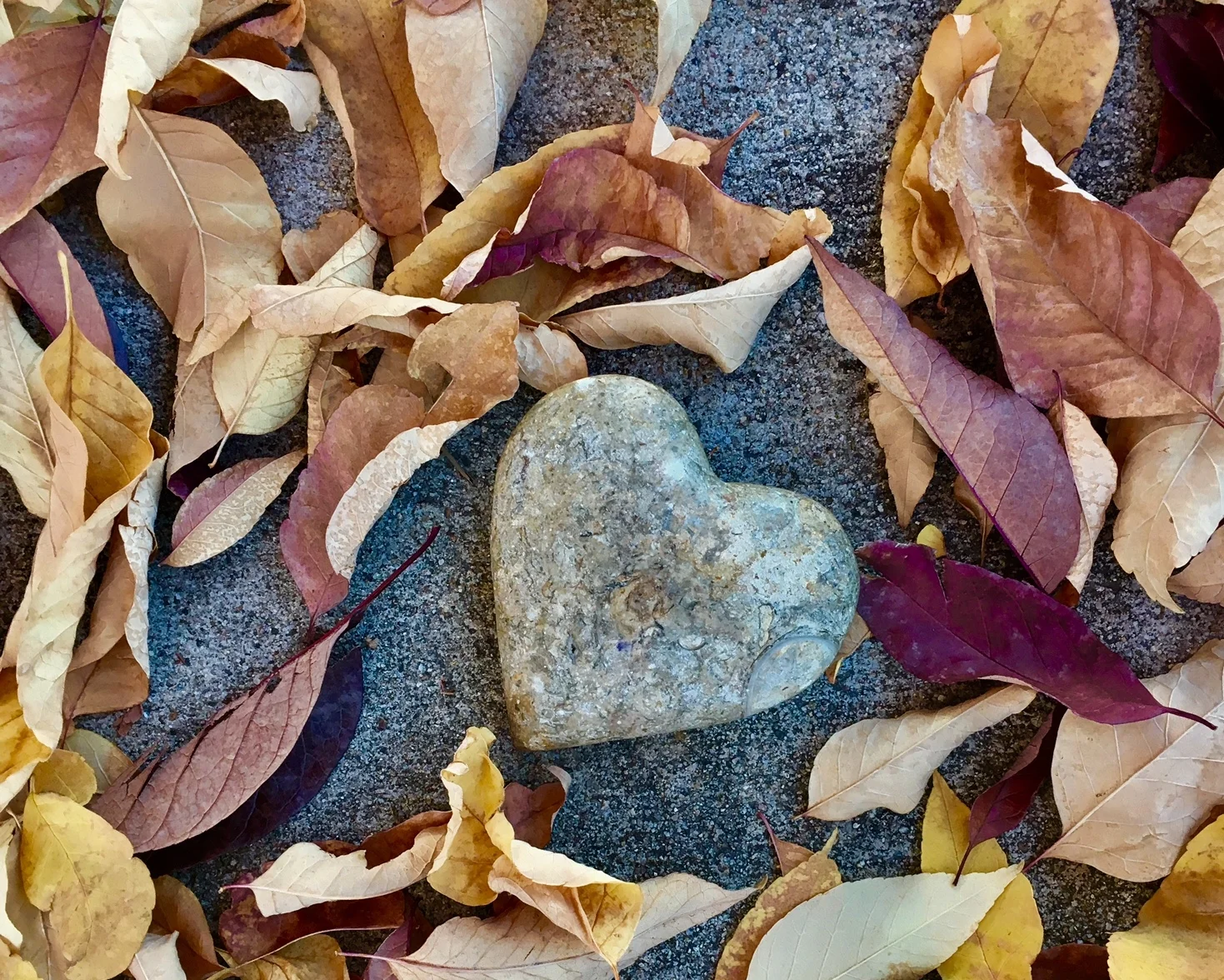 EP. 4  :: TAKE A FALL STROLL WITH ME